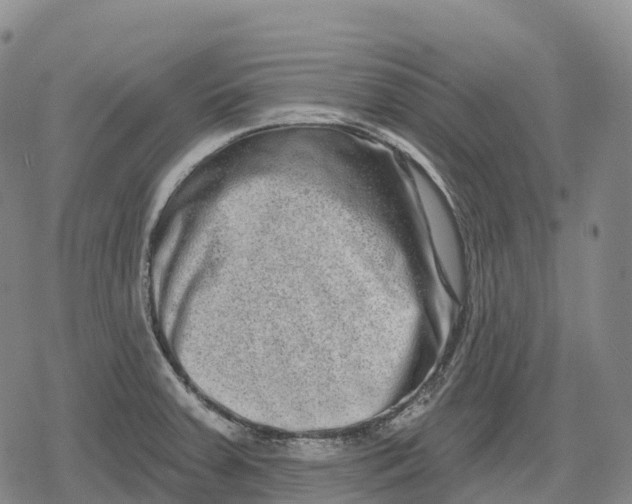 X0000079581379200612221420