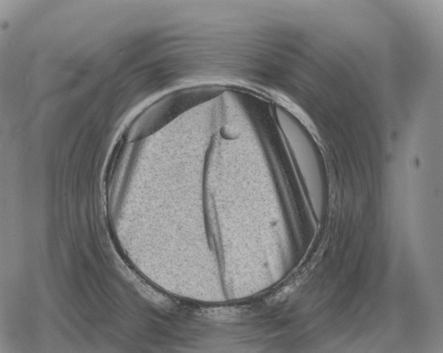 X0000079581380200612221420