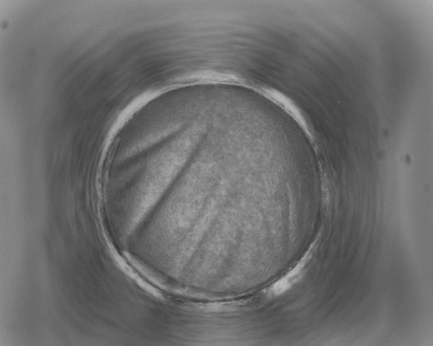 X0000079581381200612221420