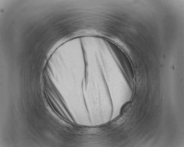 X0000079581382200612221420