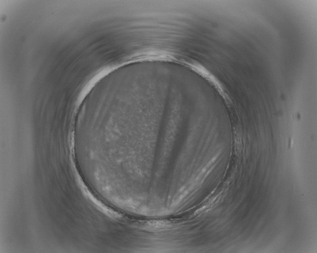 X0000079581383200612221420