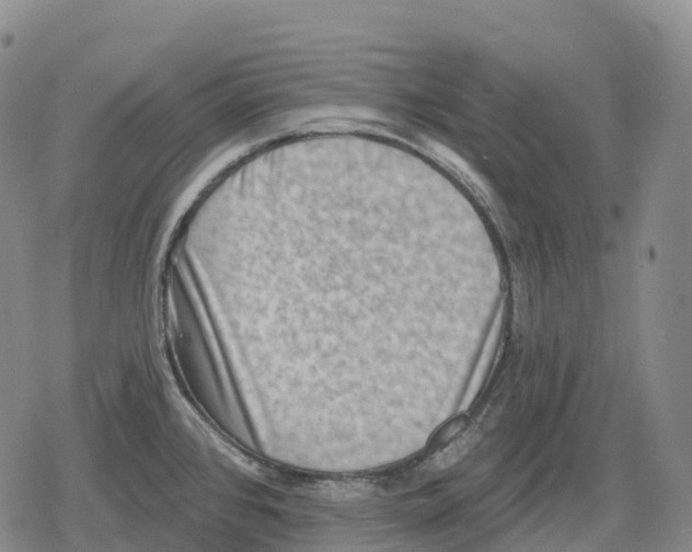 X0000079581384200612221420