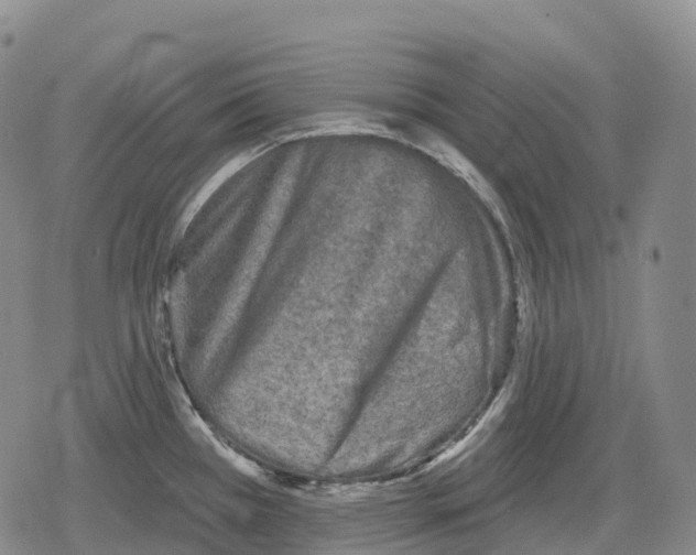 X0000079581385200612221420