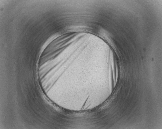 X0000079581386200612221420