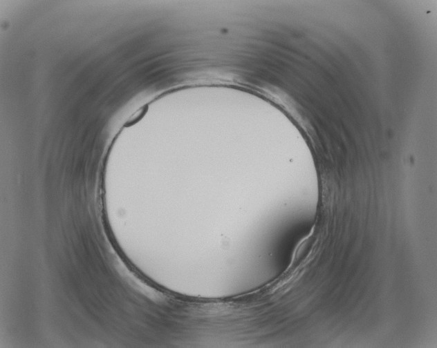 X0000079581387200612221420