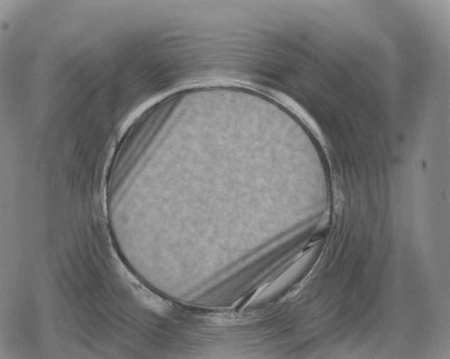 X0000079581388200612221420