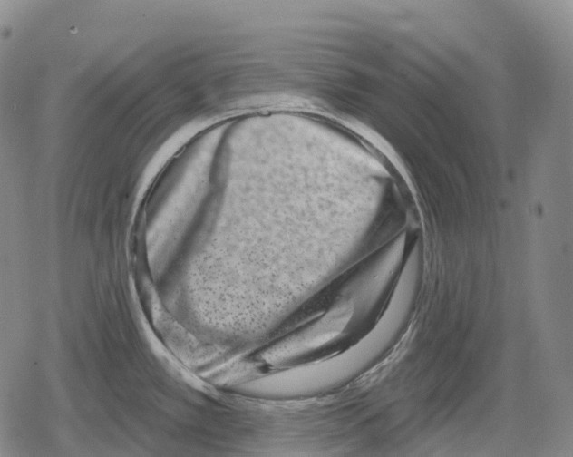 X0000079581389200612221419