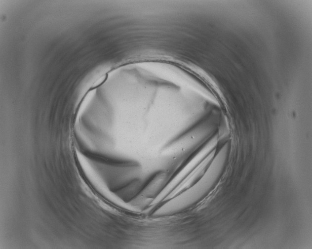 X0000079581390200612221419