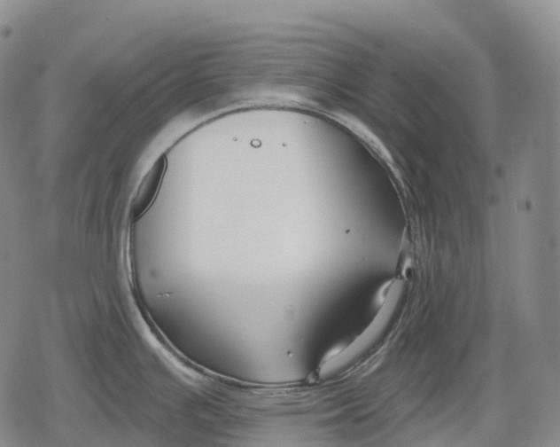 X0000079581391200612221419