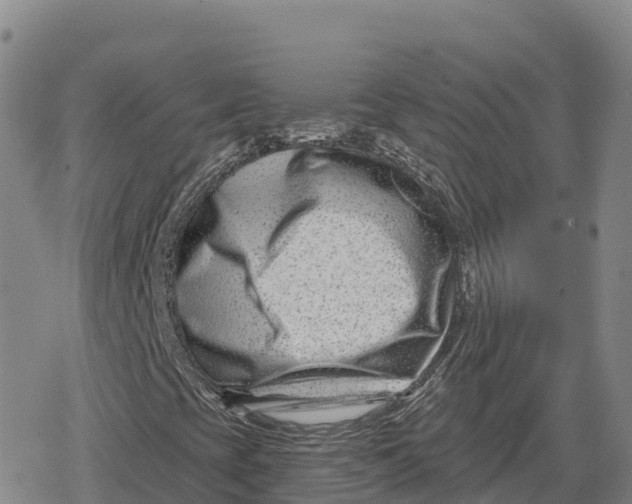 X0000079581393200612221419