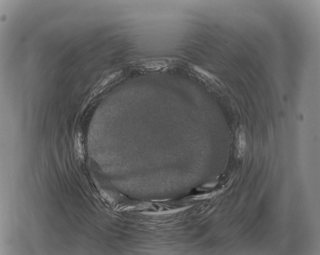 X0000079581394200612221419