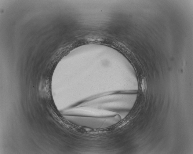 X0000079581396200612221419