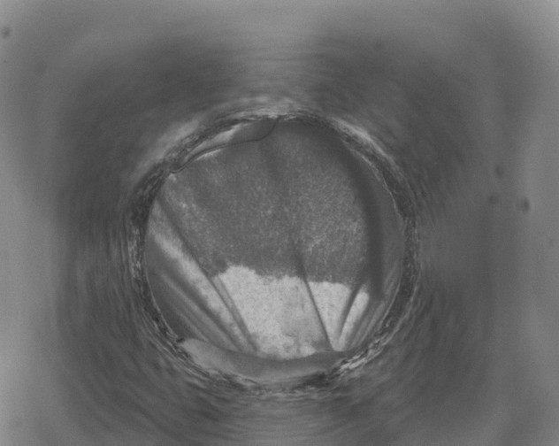 X0000079581399200612221419