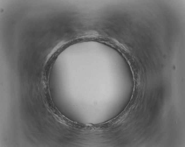 X0000079581400200612221419