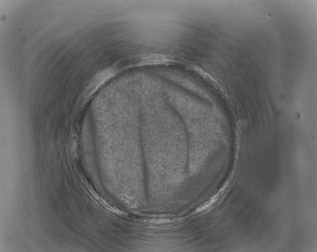 X0000079581401200612221419