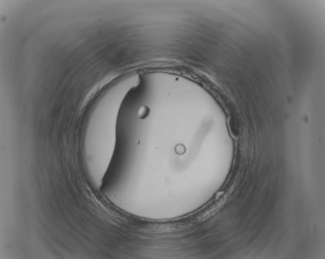 X0000079581402200612221419