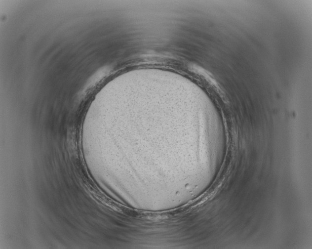 X0000079581403200612221419