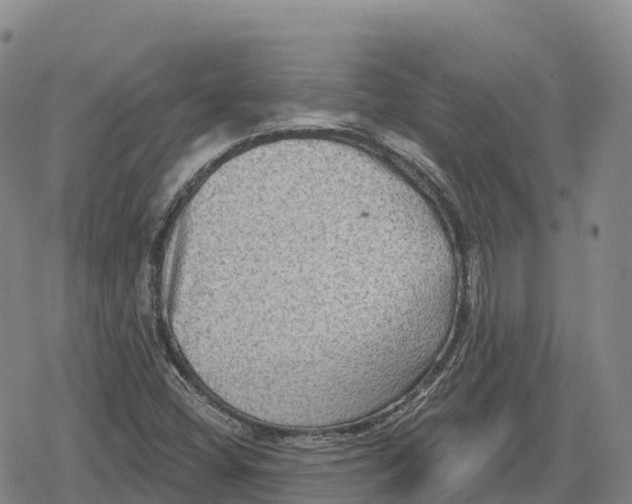 X0000079581404200612221419