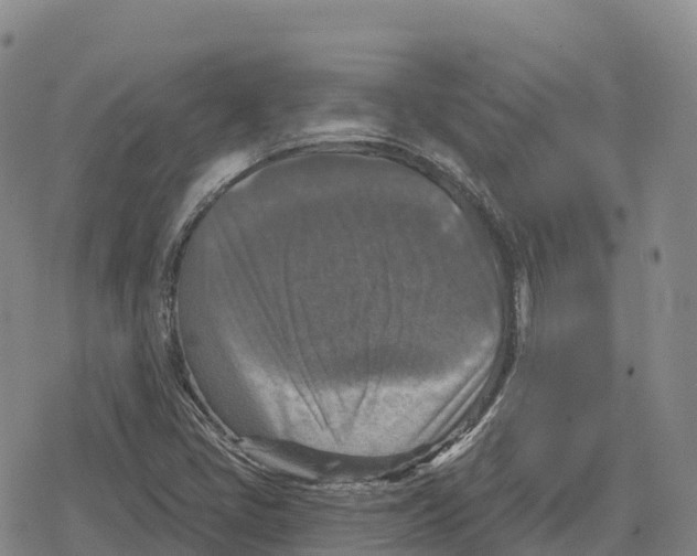 X0000079581405200612221419