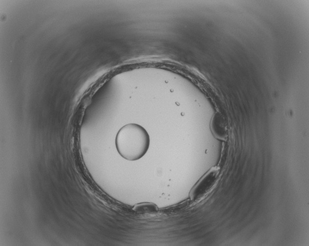 X0000079581406200612221419