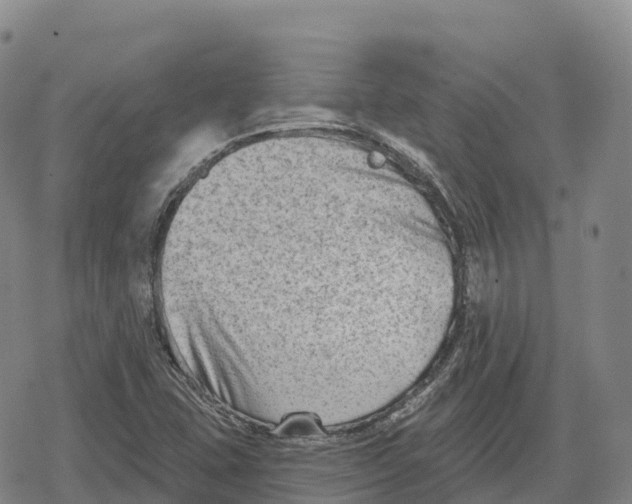 X0000079581407200612221419