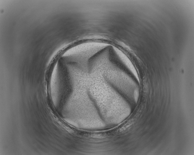 X0000079581408200612221419