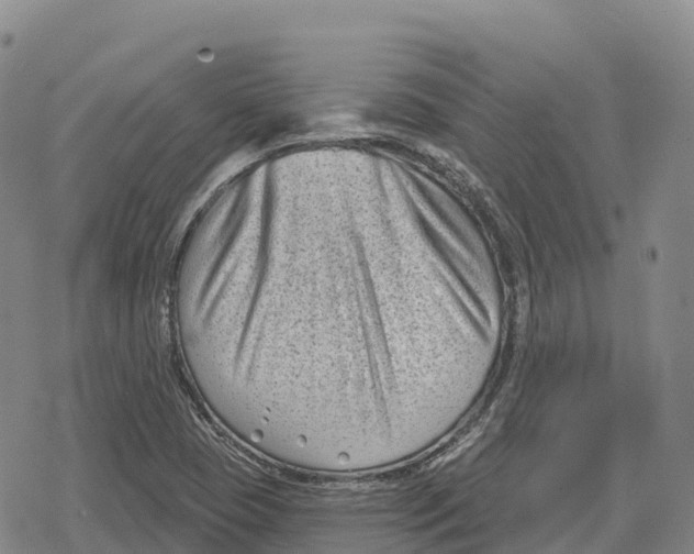 X0000079581409200612221419