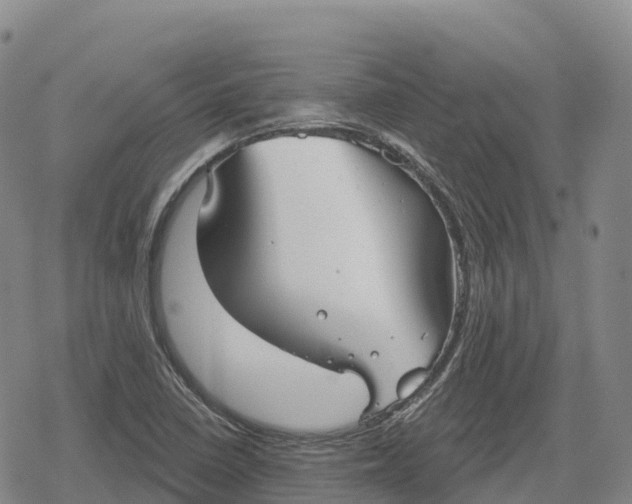 X0000079581410200612221419