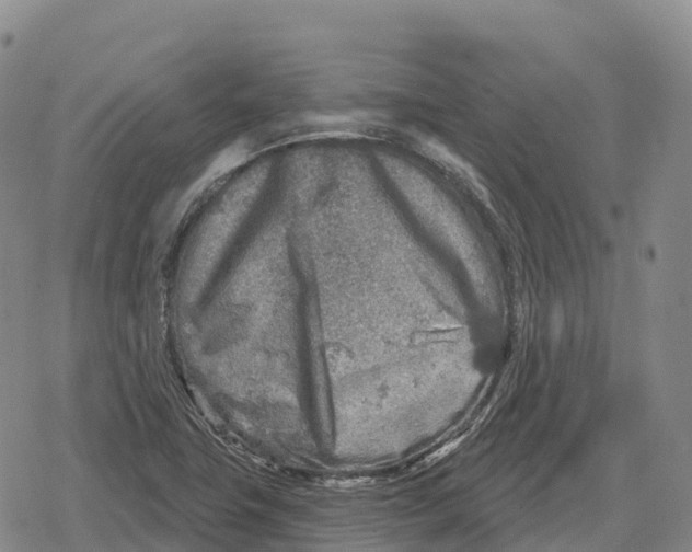 X0000079581411200612221419