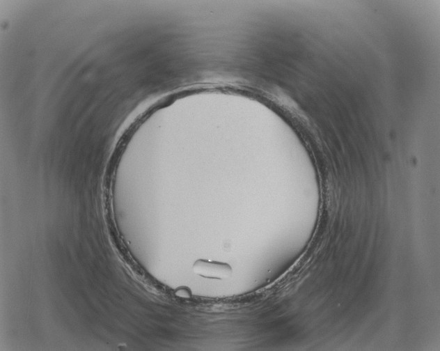 X0000079581412200612221419