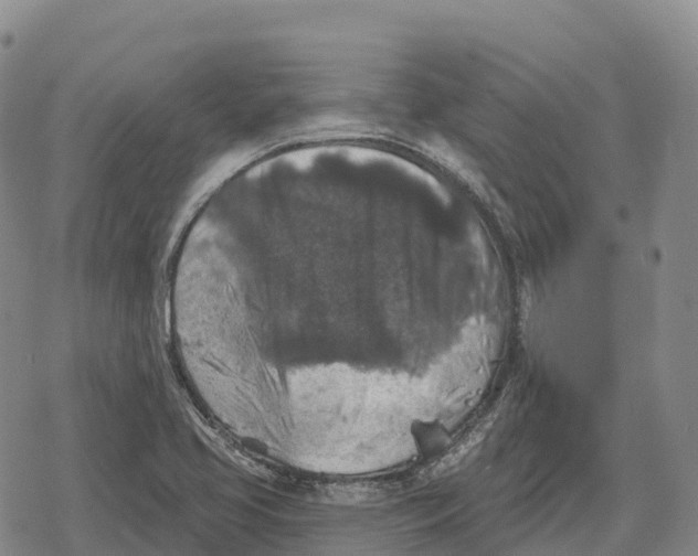 X0000079581413200612221419