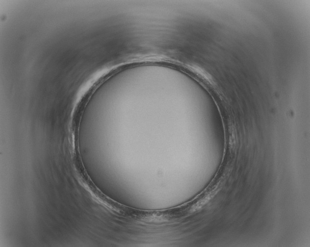 X0000079581414200612221419