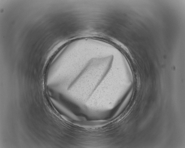 X0000079581415200612221419