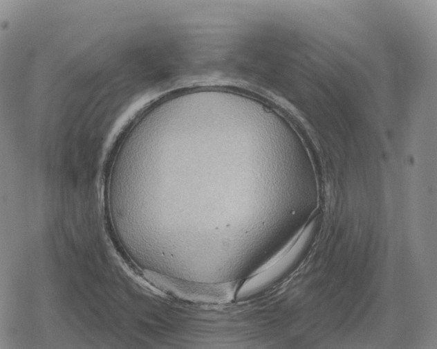 X0000079581416200612221419