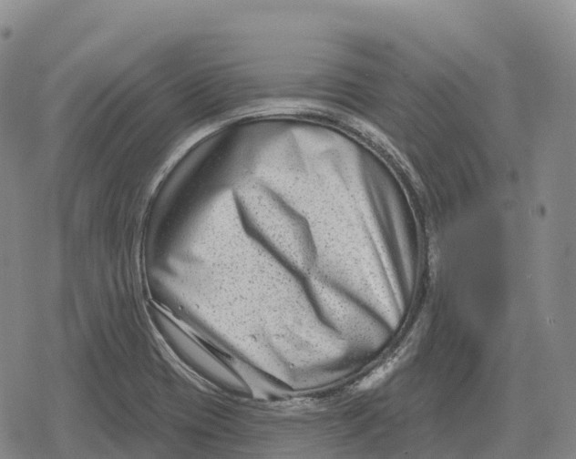 X0000079581417200612221419