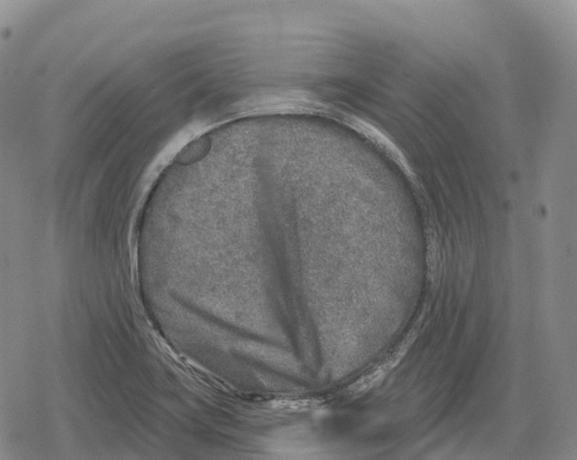 X0000079581419200612221419