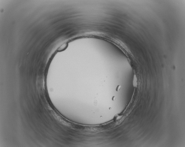 X0000079581420200612221419