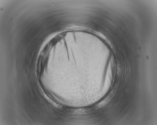 X0000079581421200612221419