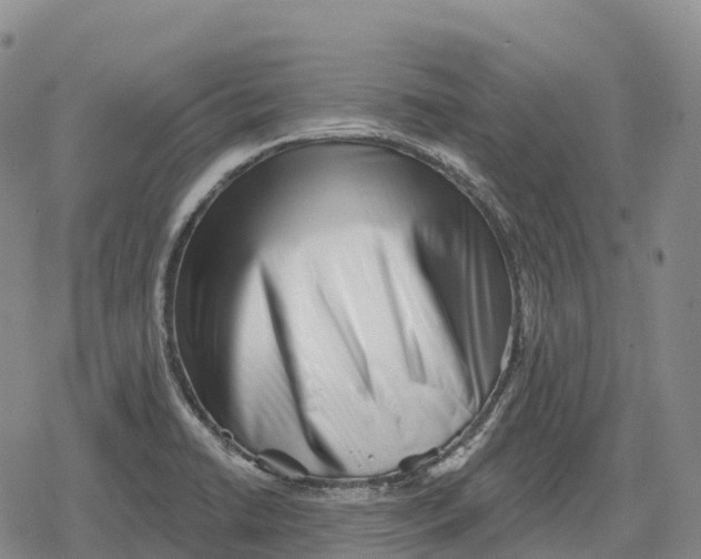 X0000079581422200612221419