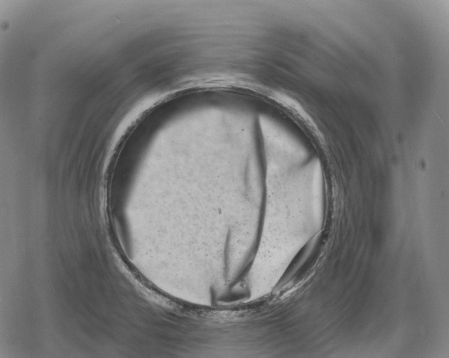 X0000079581424200612221419