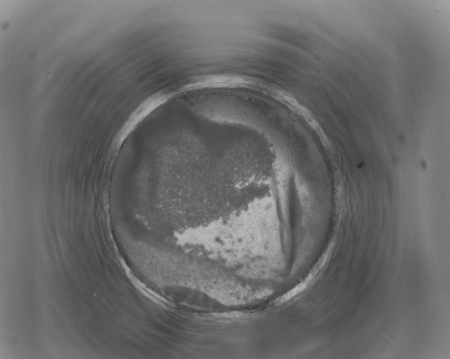 X0000079581425200612221419