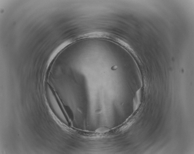 X0000079581426200612221419