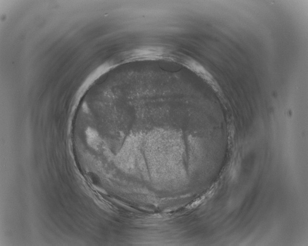 X0000079581427200612221419