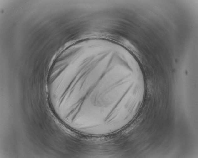 X0000079581428200612221419