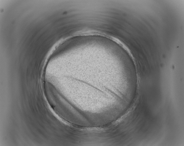 X0000079581429200612221419