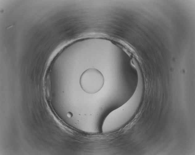 X0000079581430200612221419