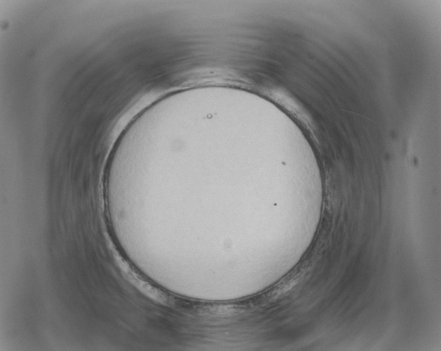 X0000079581431200612221419