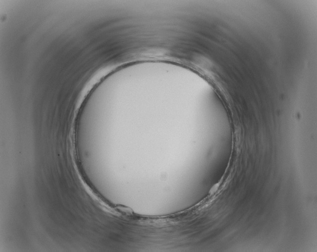 X0000079581432200612221419