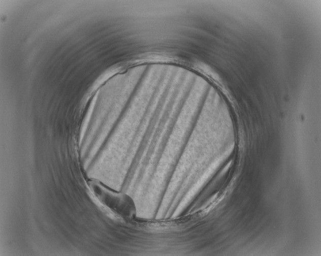 X0000079581433200612221419