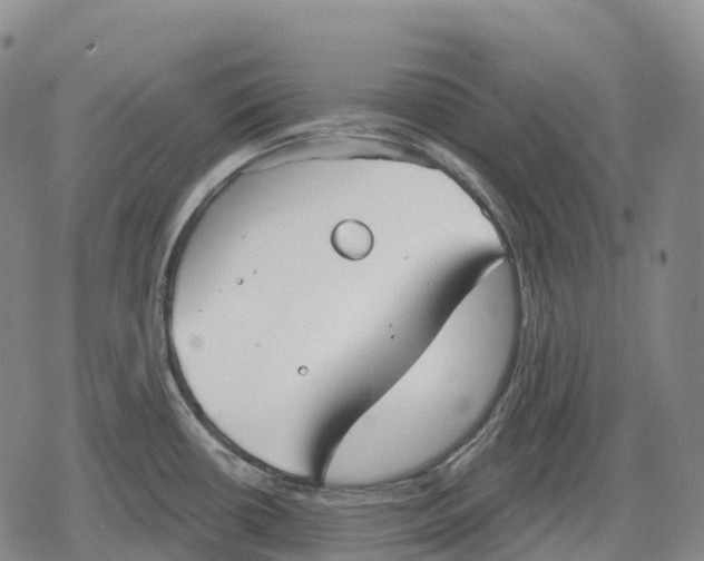 X0000079581434200612221419